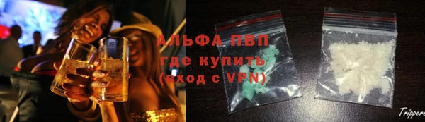 твердый Алзамай