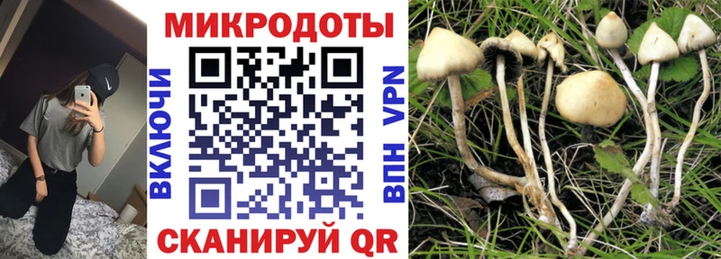 Псилоцибиновые грибы GOLDEN TEACHER  маркетплейс какой сайт  Анива 