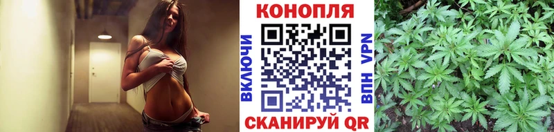 Бошки Шишки конопля  где найти наркотики  Анива 
